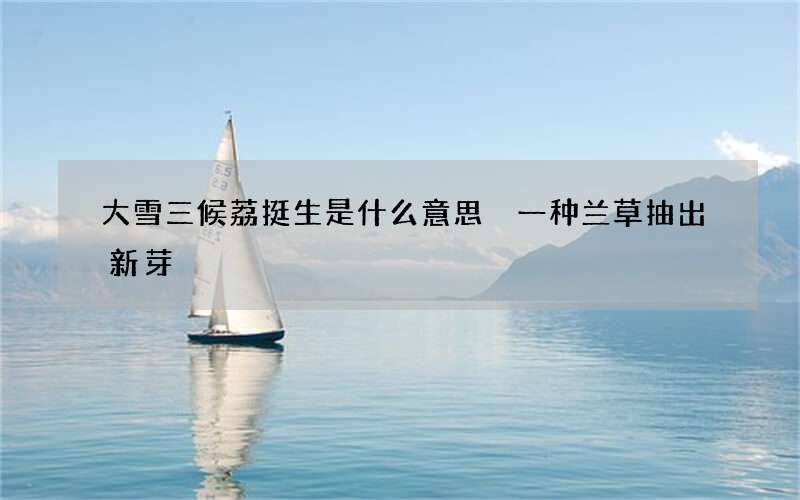 大雪三候荔挺生是什么意思 一种兰草抽出新芽